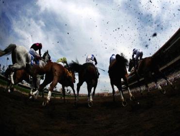 Timeform's US team pick out the best bets